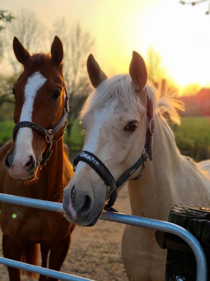 Gut Moschenhof Hotel