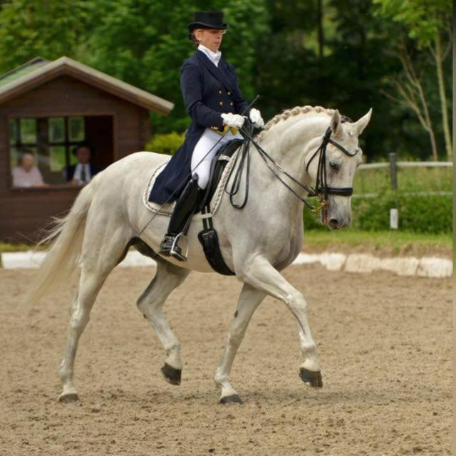 Gut Moschenhof Hotel 3*