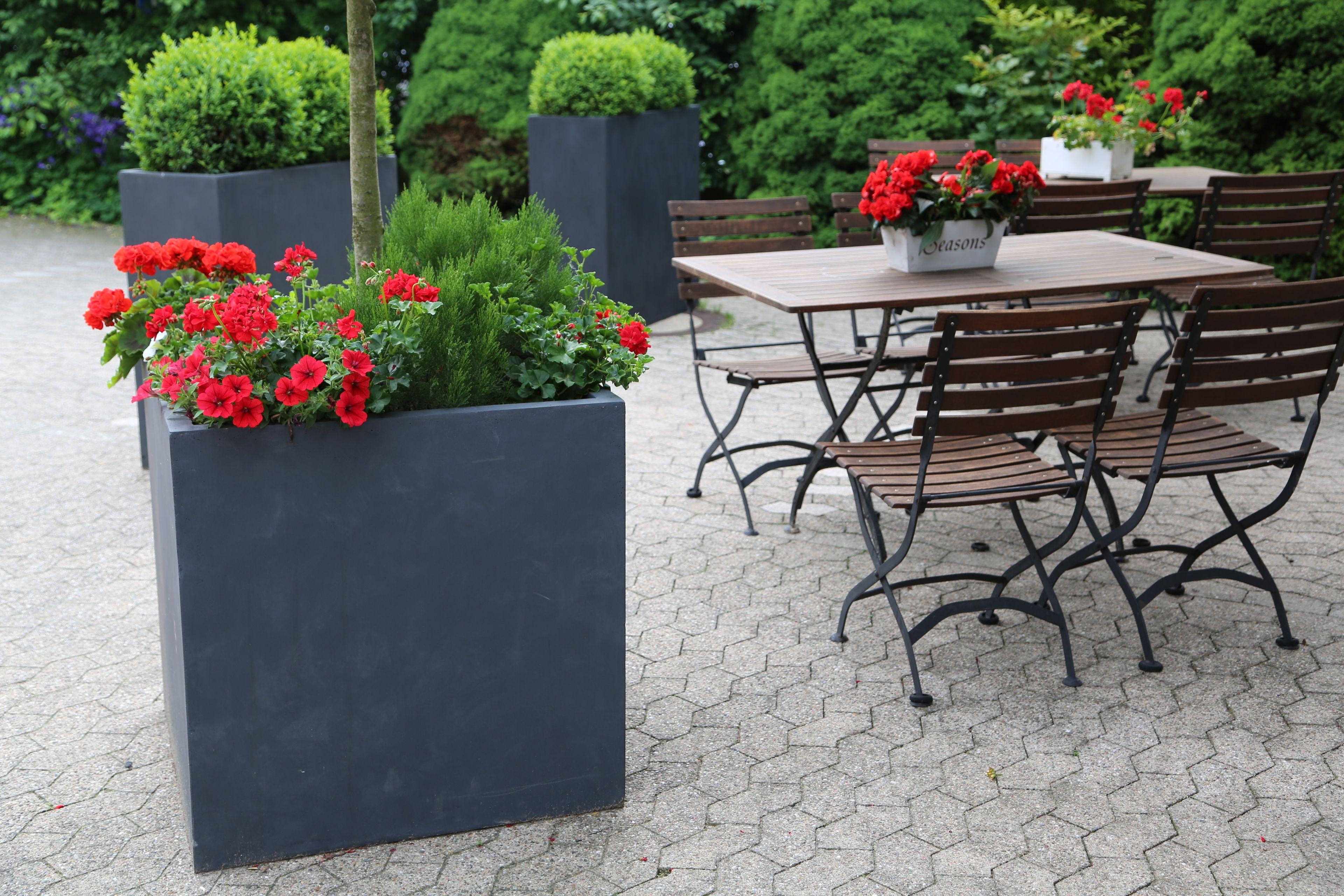 Gut Moschenhof Düsseldorf