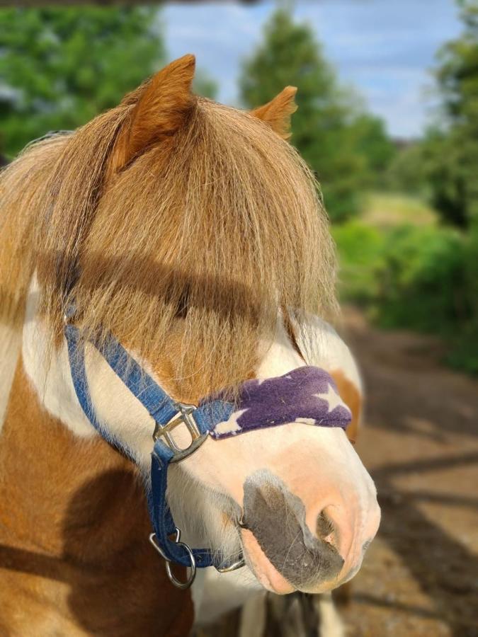 Gut Moschenhof 3* Düsseldorf