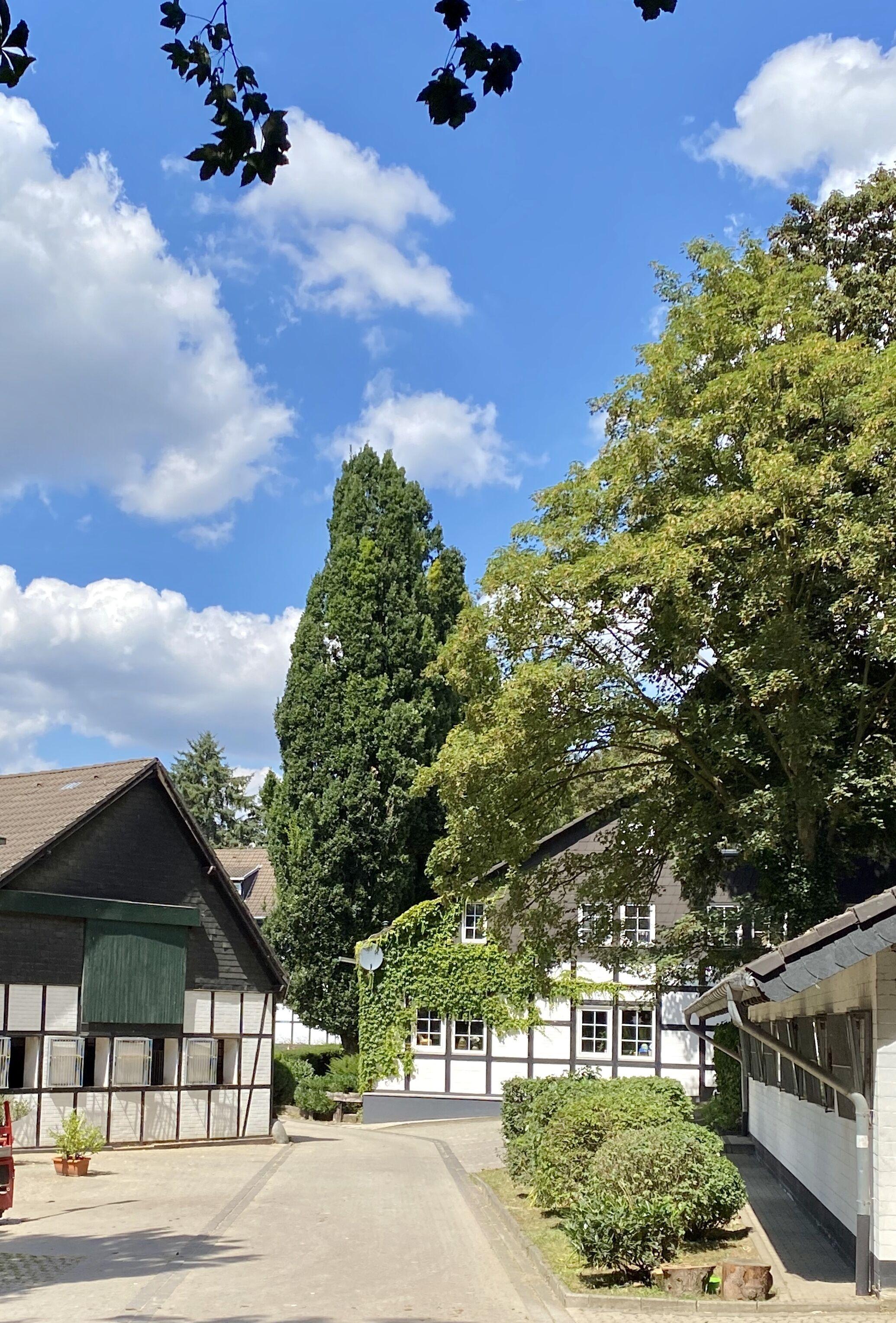 Hotel Gut Moschenhof Düsseldorf