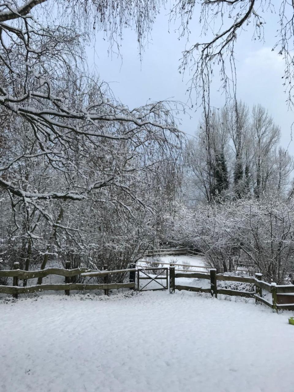 Hotel Gut Moschenhof